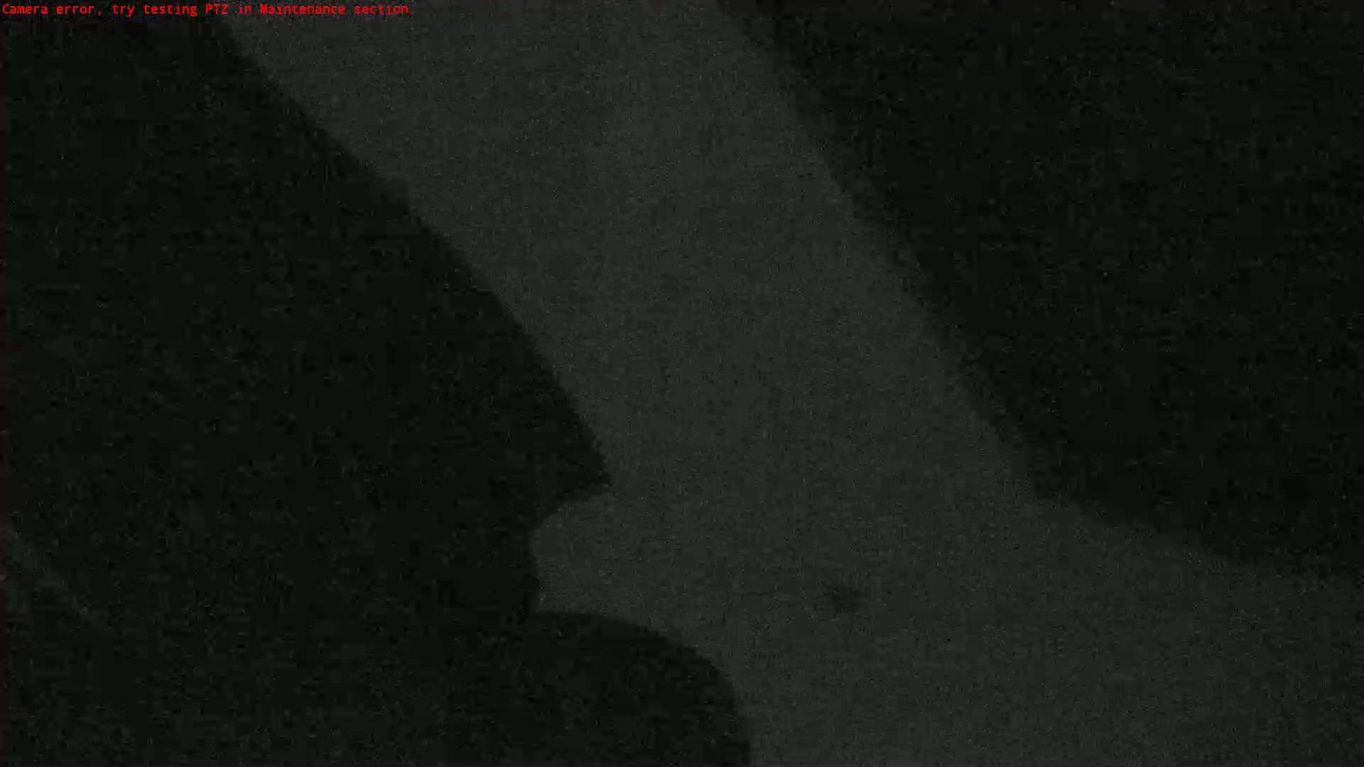 A grainy, dark image shows a blurry, indistinct shape.