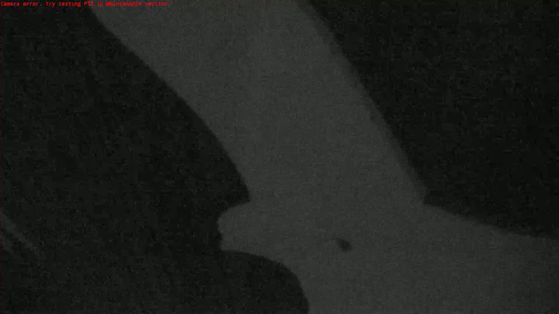 A grainy, dark image shows a blurry, indistinct shape that resembles a large, dark shadow.
