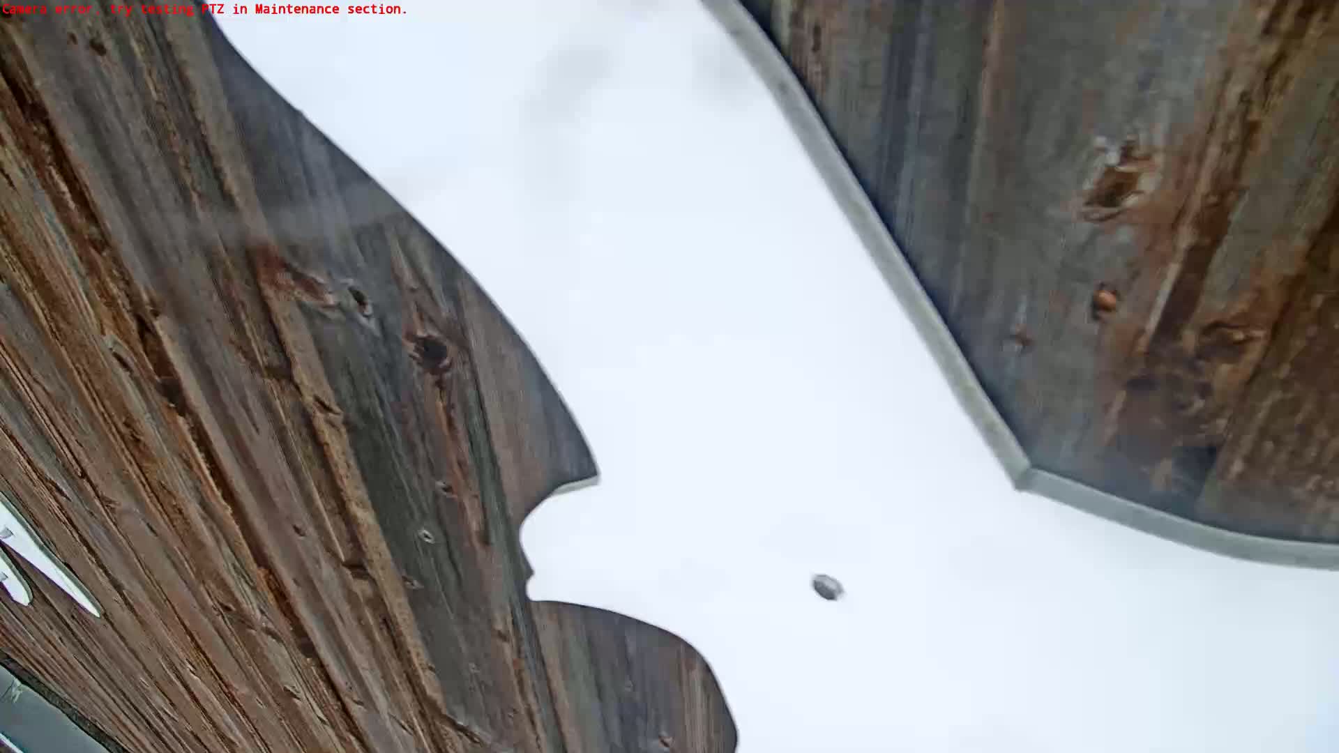 A large white, bat-shaped object is affixed to a weathered, dark brown wooden surface, possibly outdoors in overcast conditions.