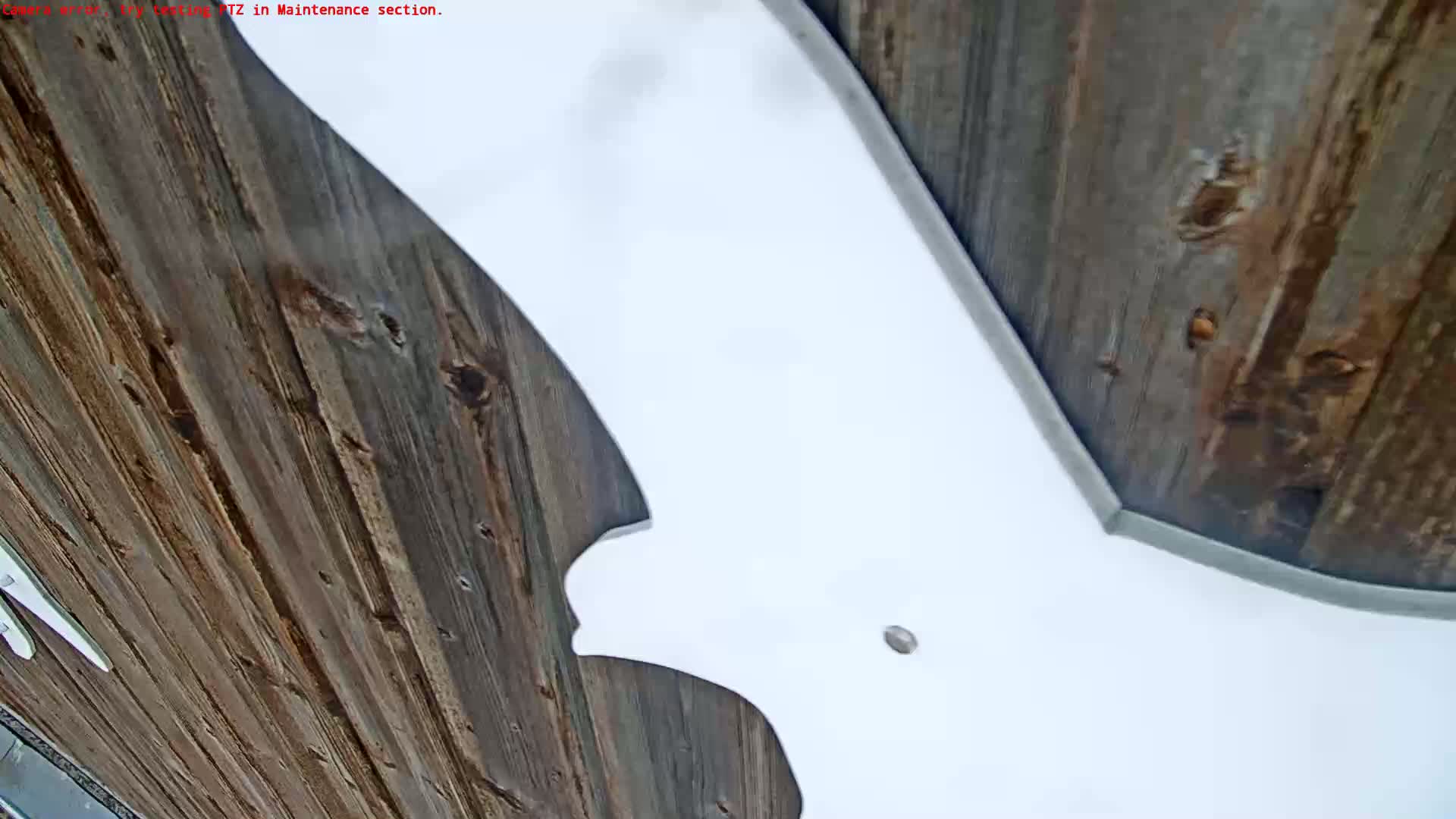 A large, white, bat-shaped object is mounted against a weathered, dark-brown wooden surface.