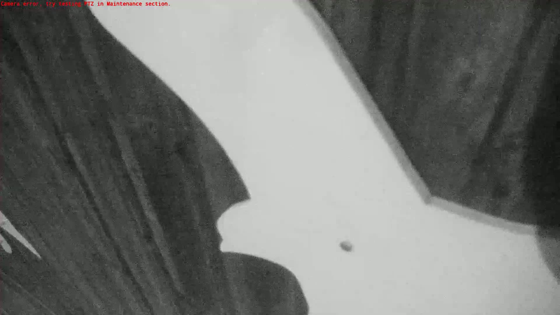 A grainy, low-light image shows a dark, indistinct shape against a lighter, possibly white, background.