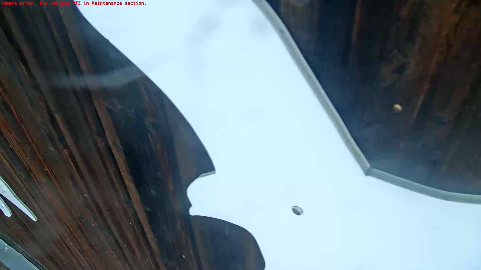 A low-angle view shows a large, white, bat-shaped object affixed to a dark brown wooden surface, possibly outdoors under a somewhat hazy sky.