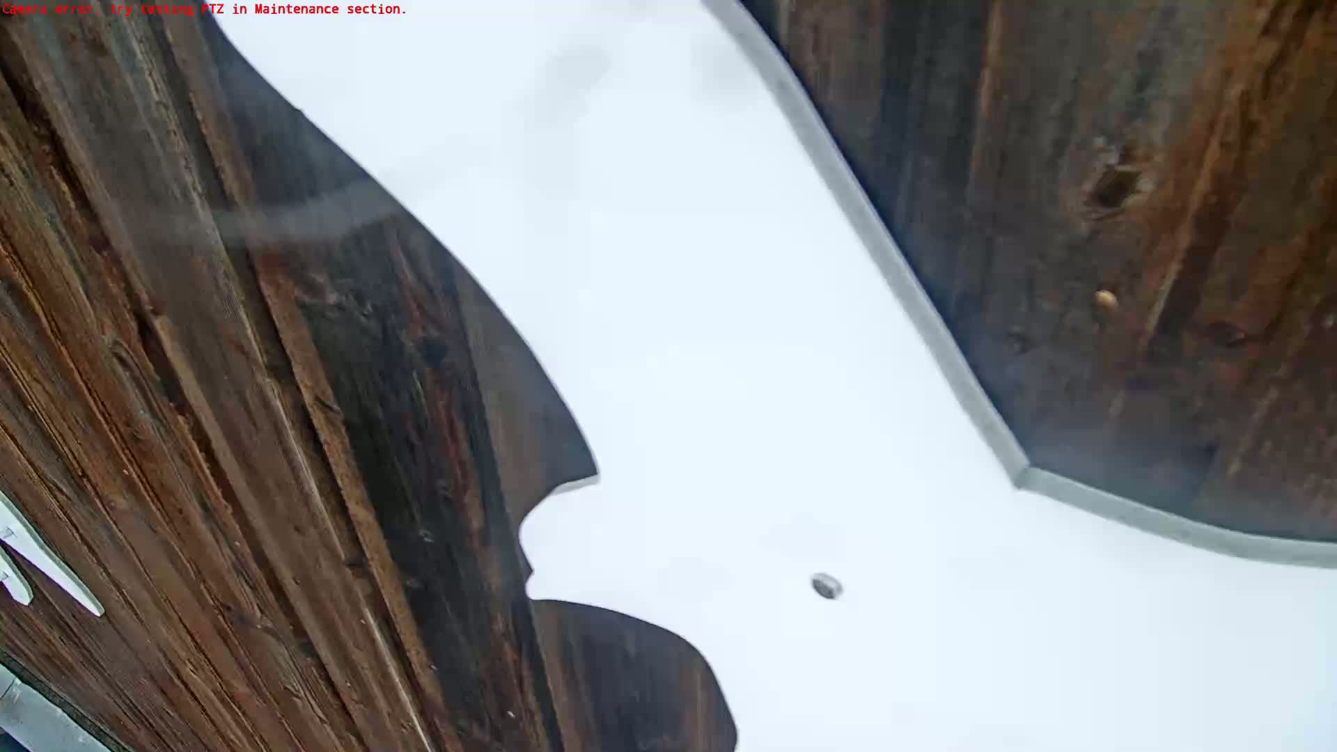 A large white object, possibly part of a structure or sign, is partially visible against a dark brown wooden background.