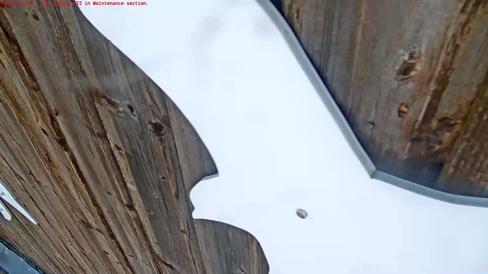 A large white bat-shaped object is mounted against a weathered brown wooden surface.