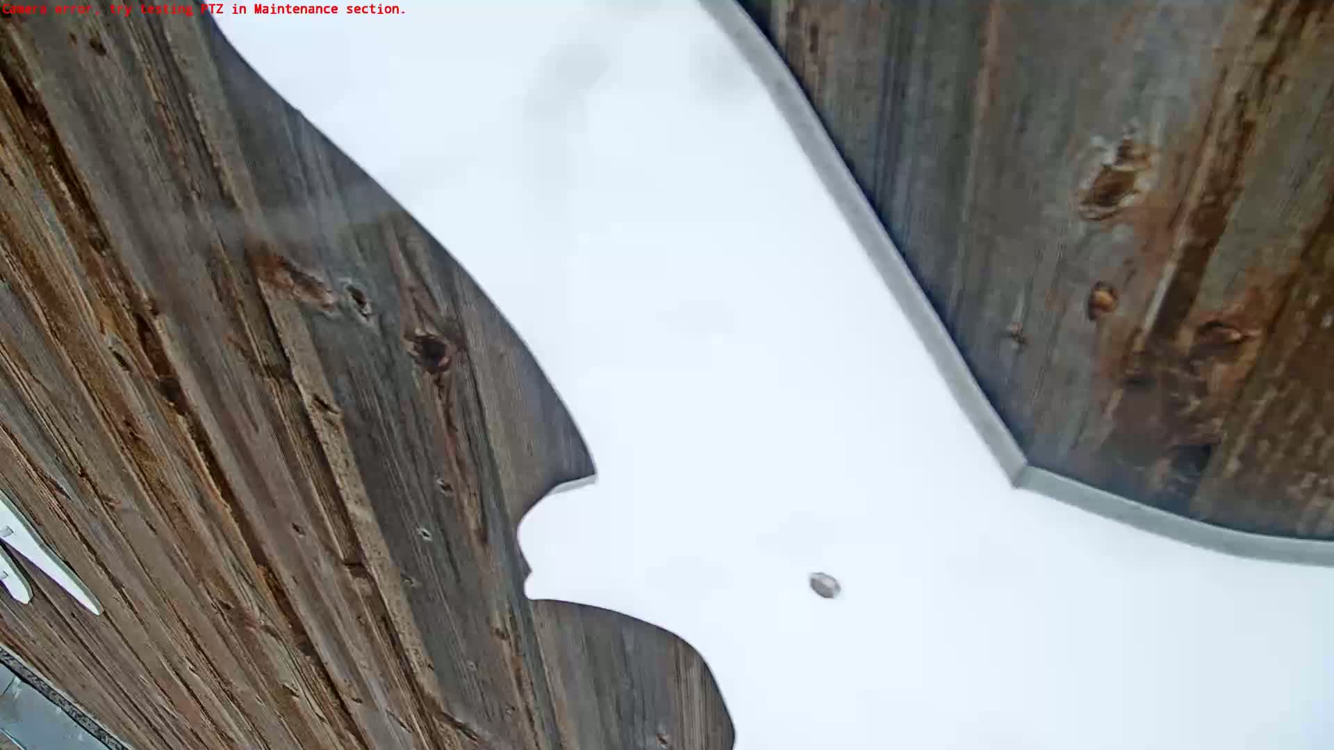 A large white, bat-shaped object is mounted against a wood-paneled wall.