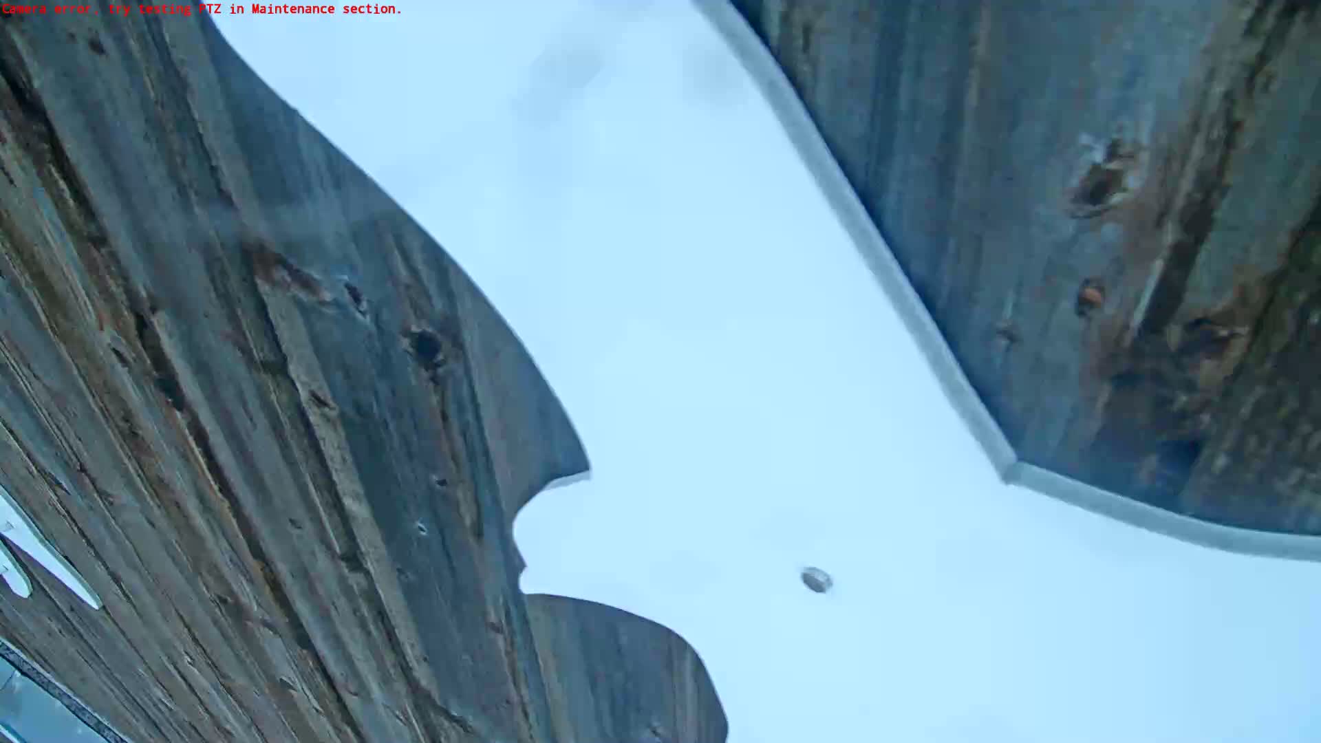 A low-angle view shows a large, white, bat-shaped object against a weathered, dark-wood background.