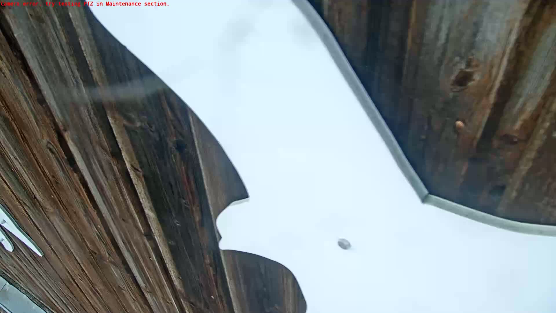 A low-angle view shows a large white bat-shaped object attached to a dark brown wooden wall.