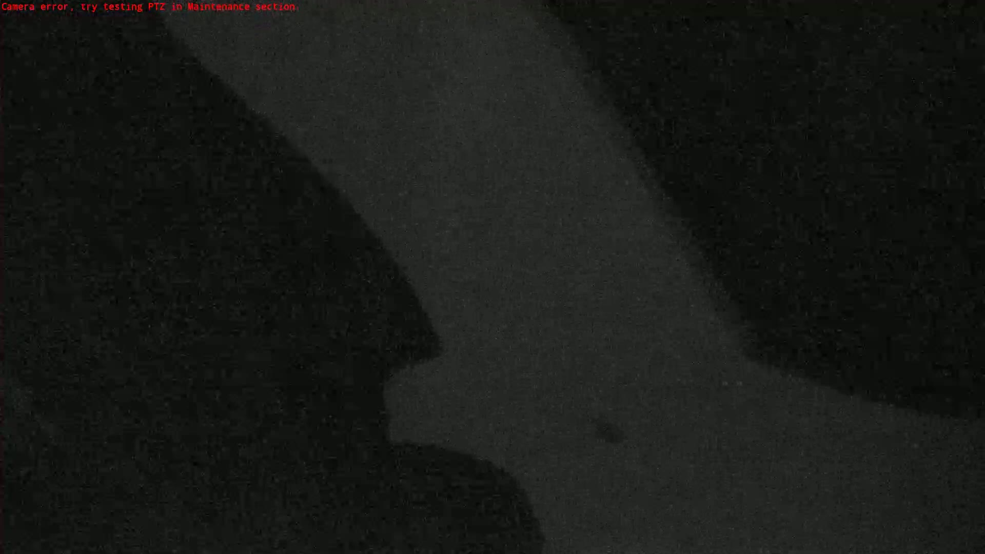 A grainy, dark image shows a blurry, indistinct shape.