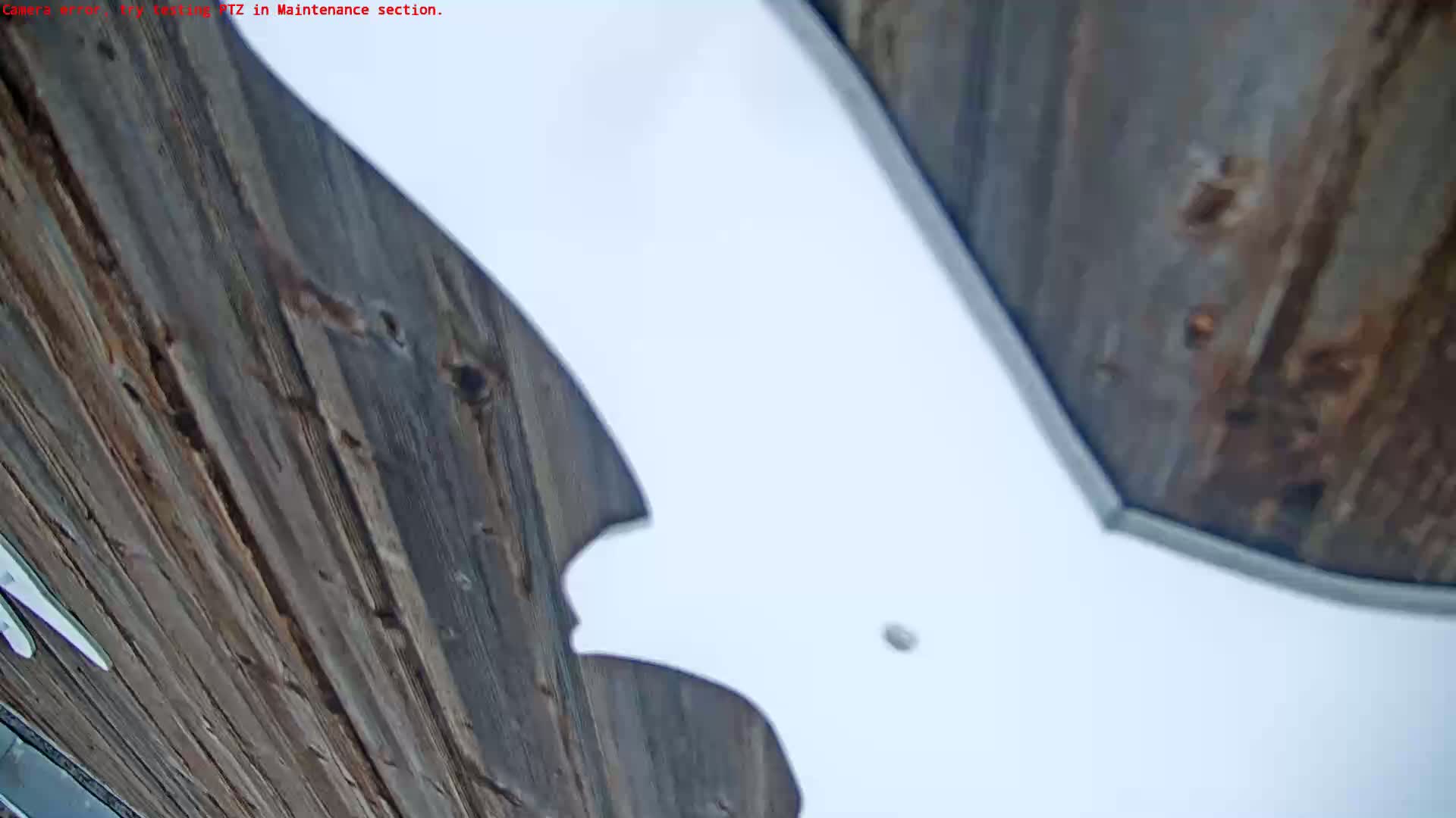 A low-angle view shows weathered, gray-brown wooden planks under an overcast sky.
