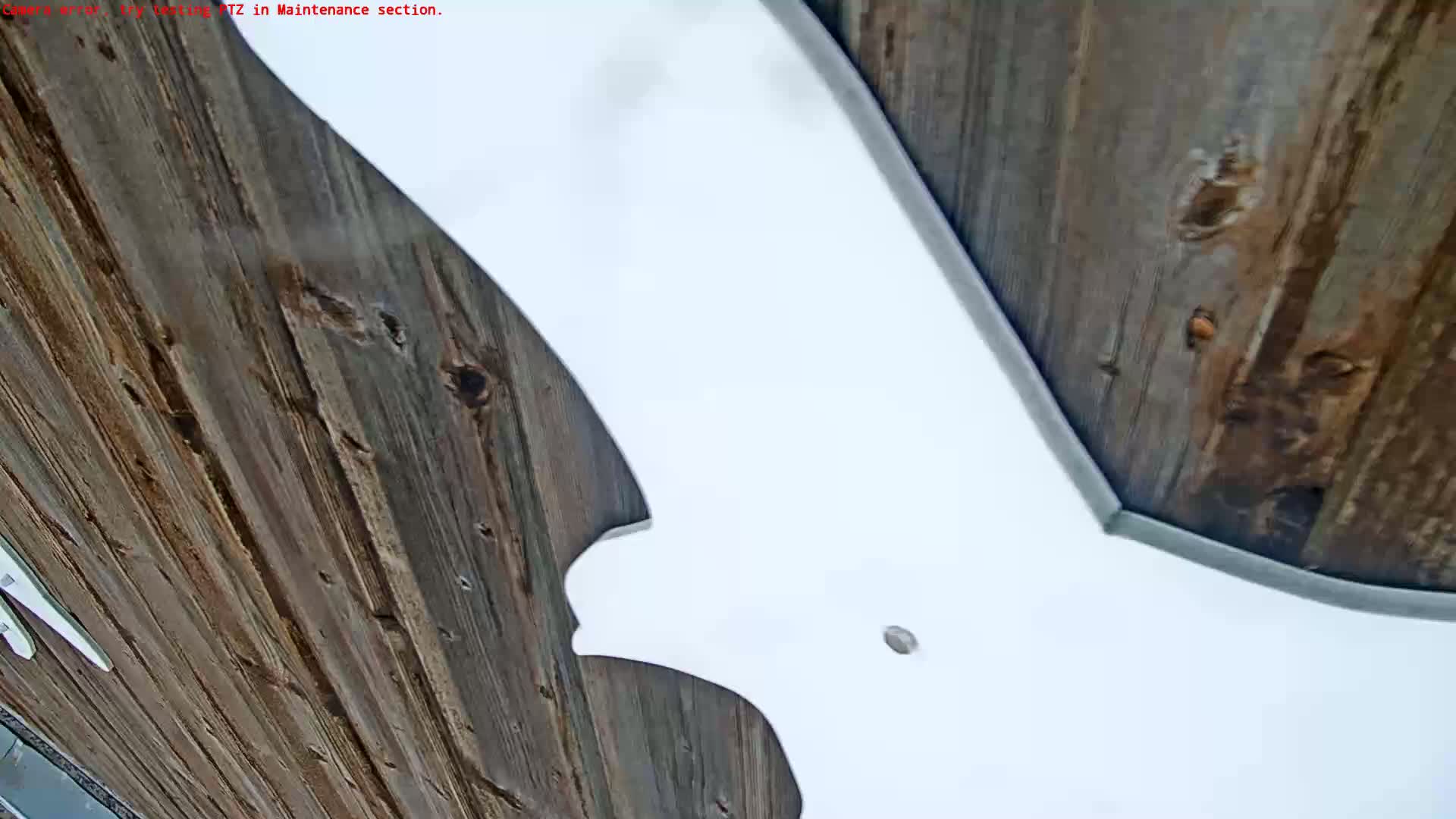 A large white, bat-shaped object is partially visible against a background of weathered, brown wooden planks.
