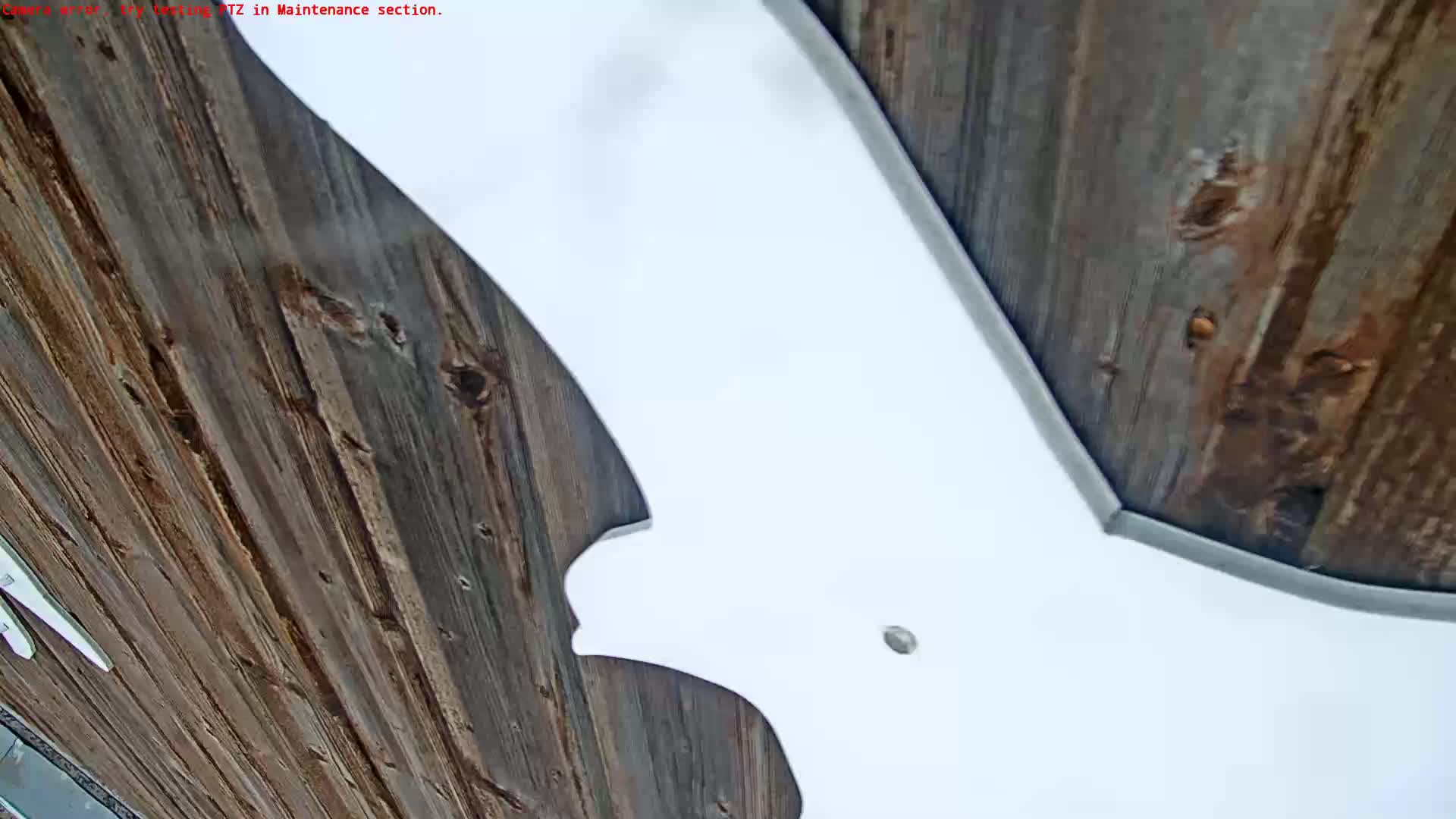 A large white bat-shaped object is mounted against a weathered brown wooden surface.