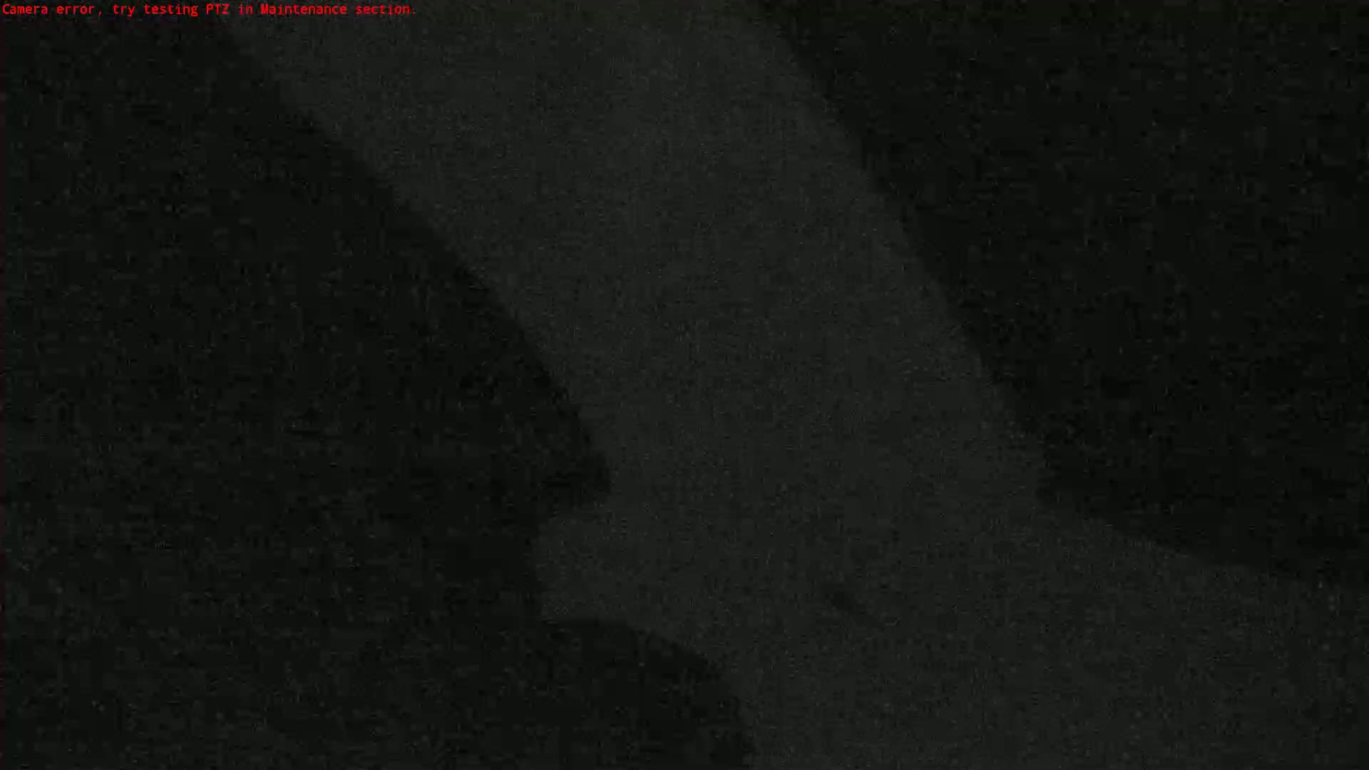 A grainy, dark image shows a blurry, indistinct shape.