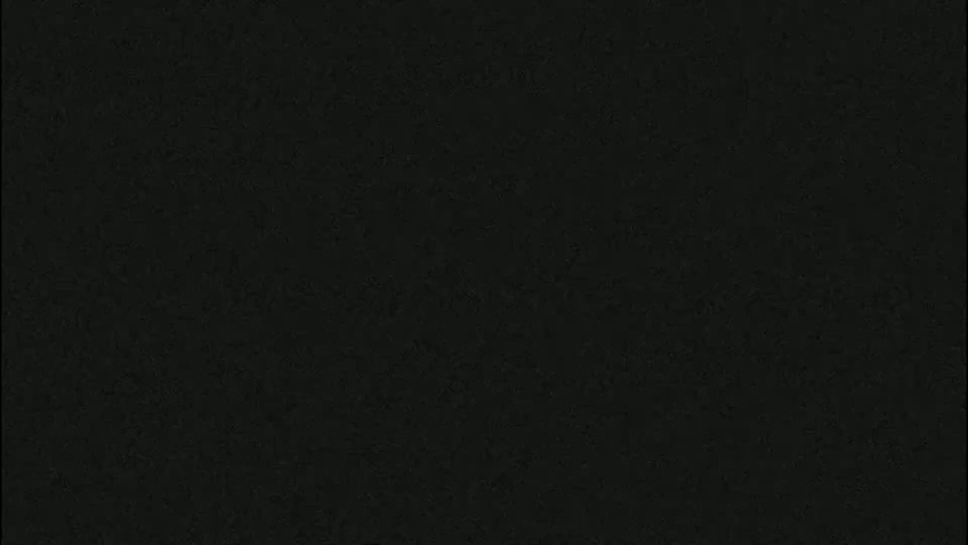 The image shows a uniformly dark-colored, textured surface.