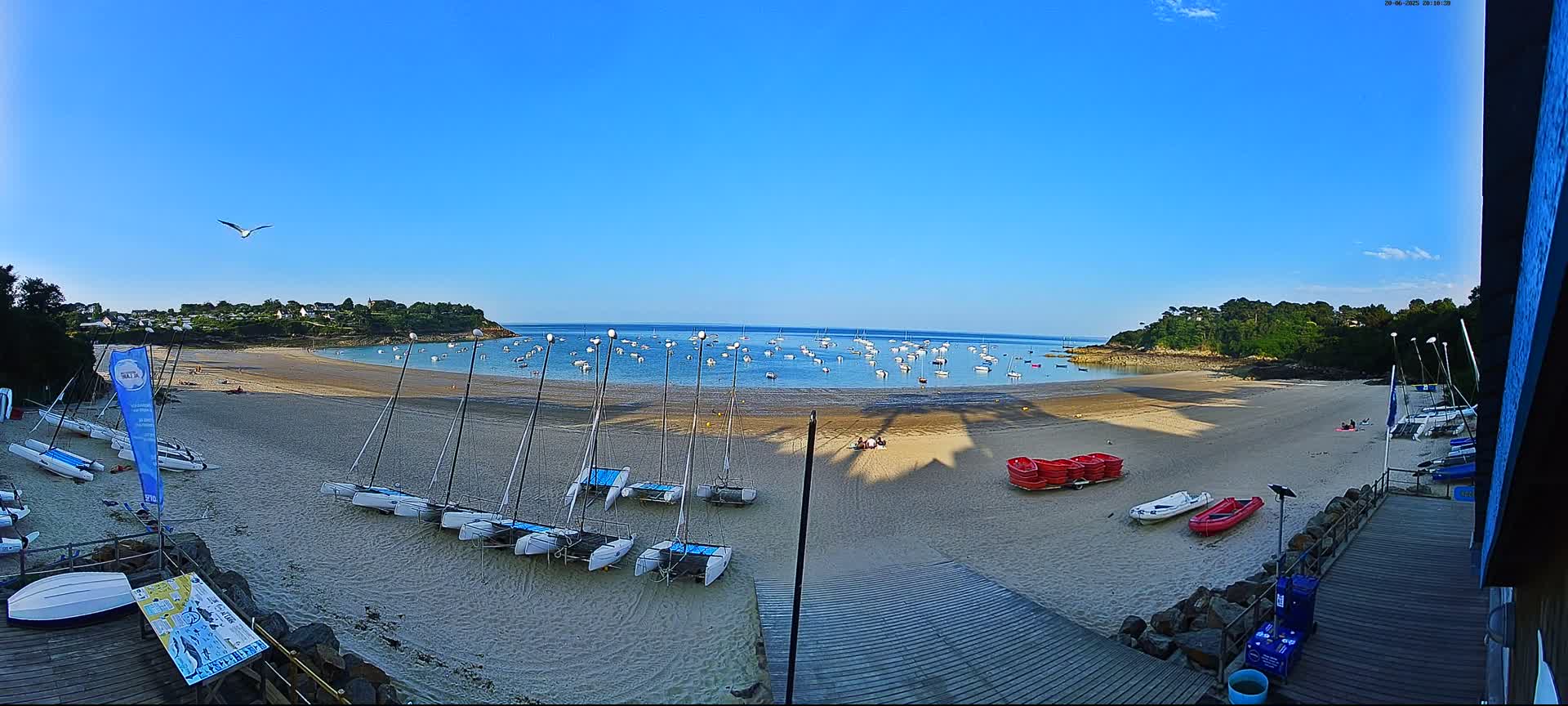 A sandy beach with numerous sailboats and small boats on the shore and in the calm water under a clear blue sky.