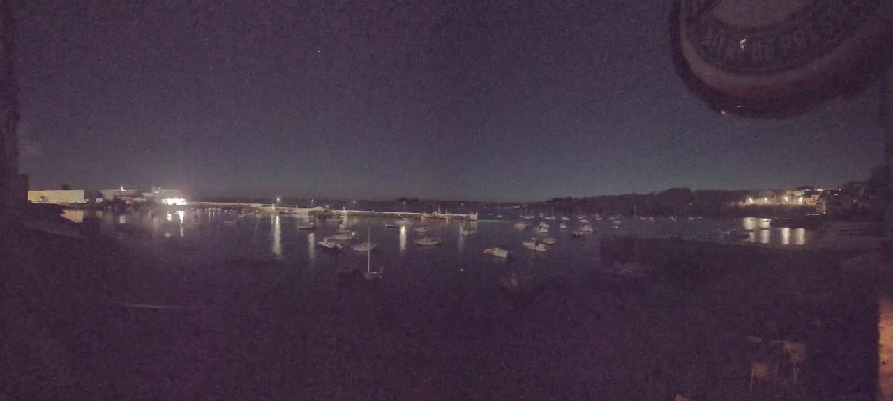 A nighttime view of a harbor filled with numerous boats under a dark, clear sky.