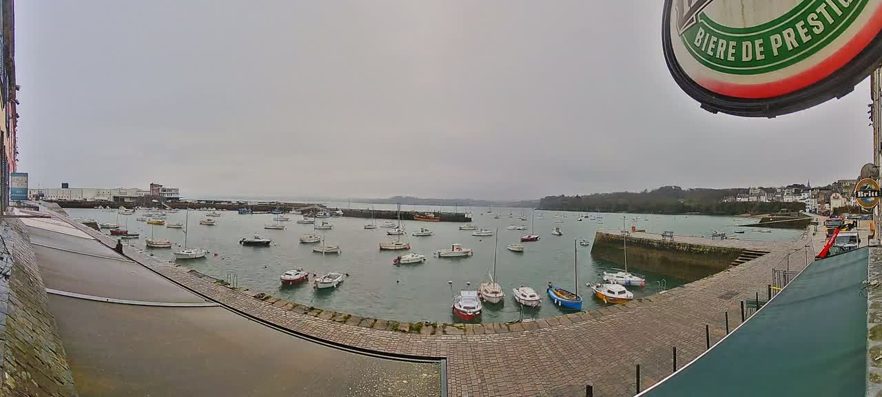 A harbor filled with numerous small boats is seen on an overcast day.