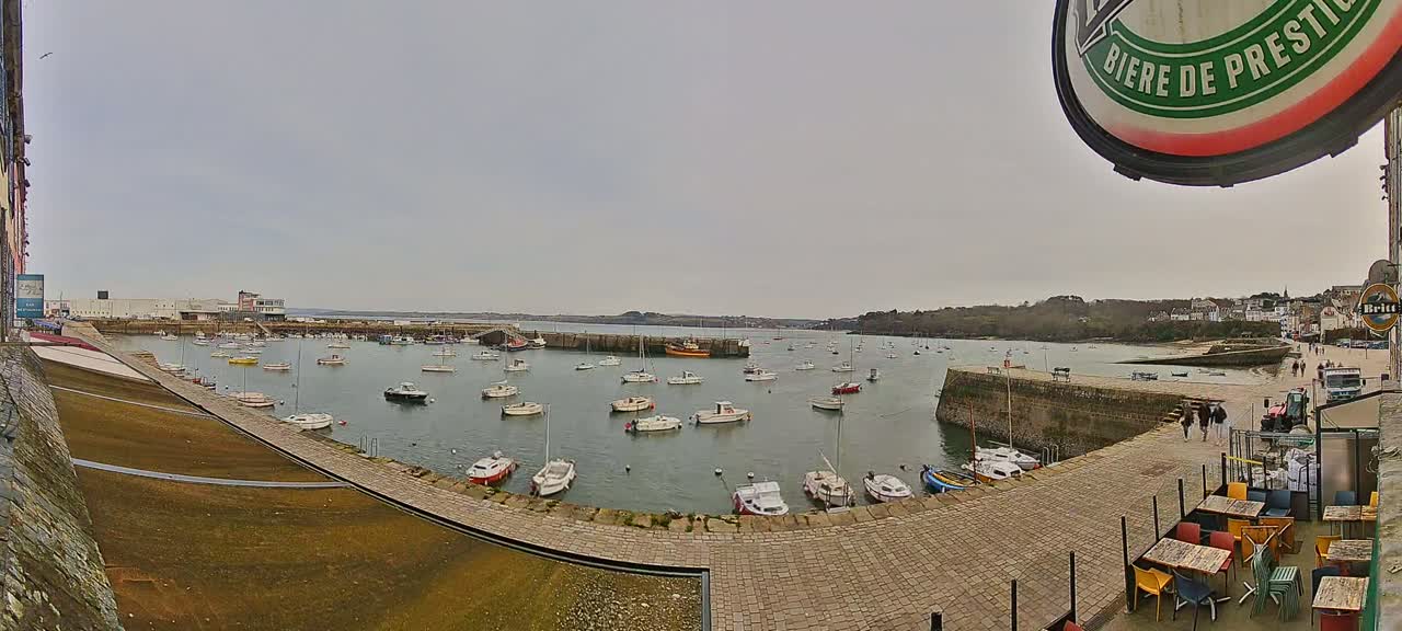 A harbor filled with numerous small boats is viewed from a high vantage point on an overcast day.