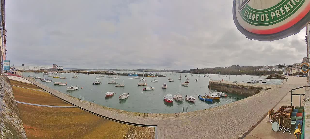 Many small boats are moored in a calm harbor under an overcast sky.