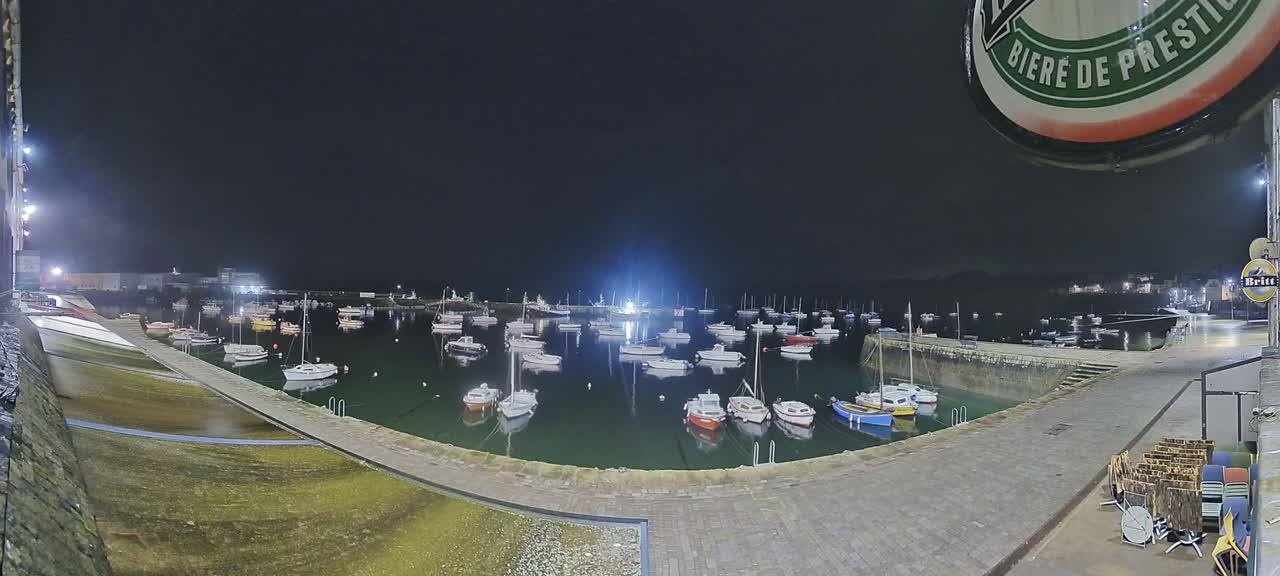 Many small boats are moored in a calm harbor at night under a dark sky.