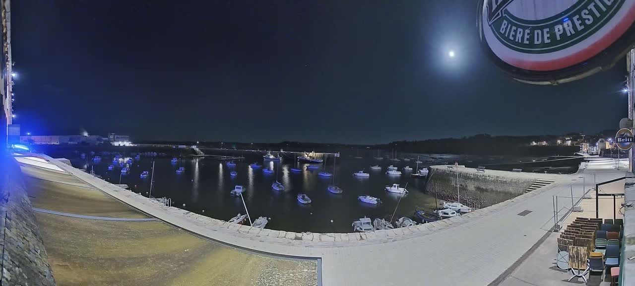 Under a bright moonlit night sky, numerous boats are moored in a calm harbor, next to a paved walkway and building.