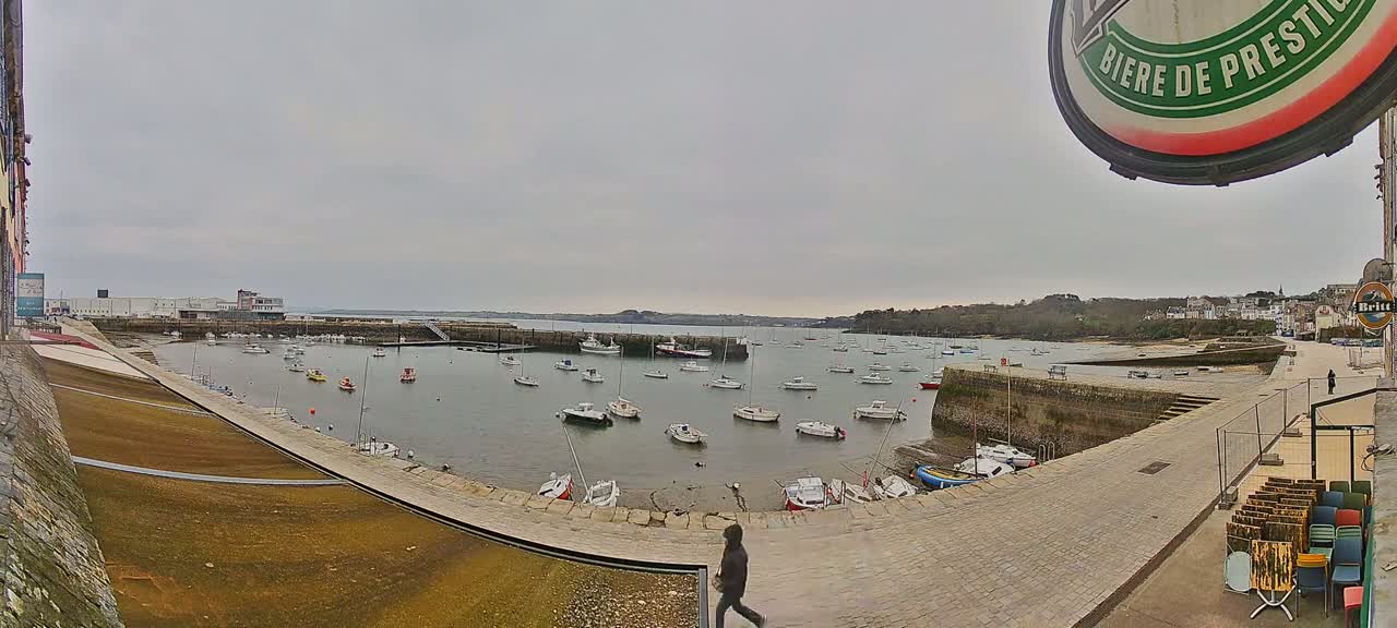 A harbor filled with numerous small boats is seen under an overcast sky, with a paved walkway and buildings visible in the background.