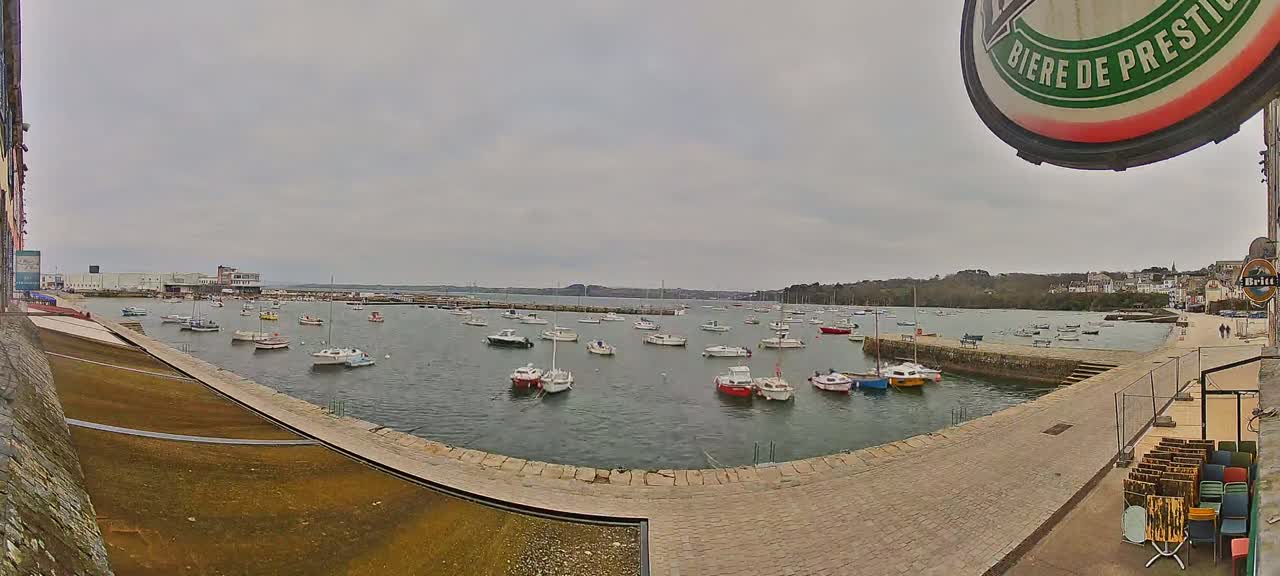 Many small boats are moored in a calm harbor on an overcast day.