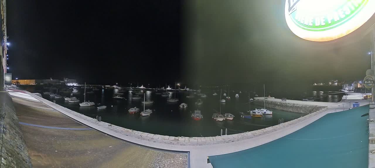 At night, numerous boats are moored in a calm harbor, illuminated by artificial lights.