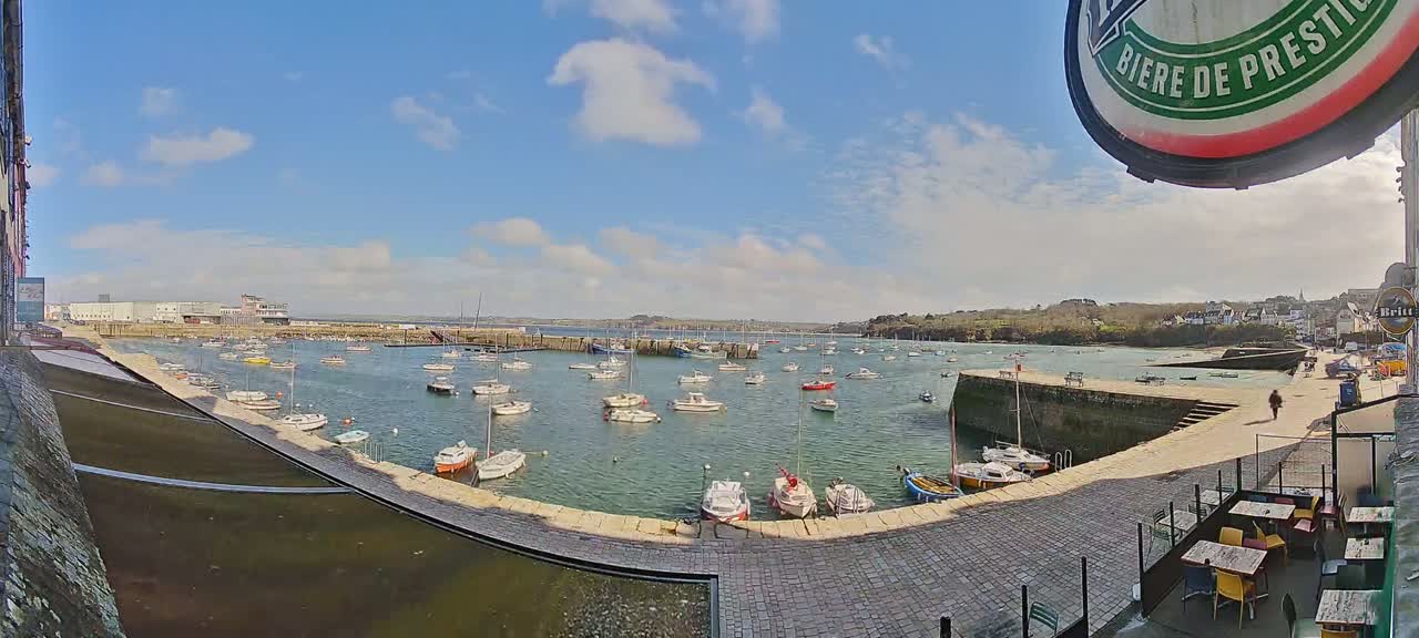 A sunny day shows a harbor filled with numerous sailboats and motorboats, with a paved walkway and outdoor seating area visible in the foreground.