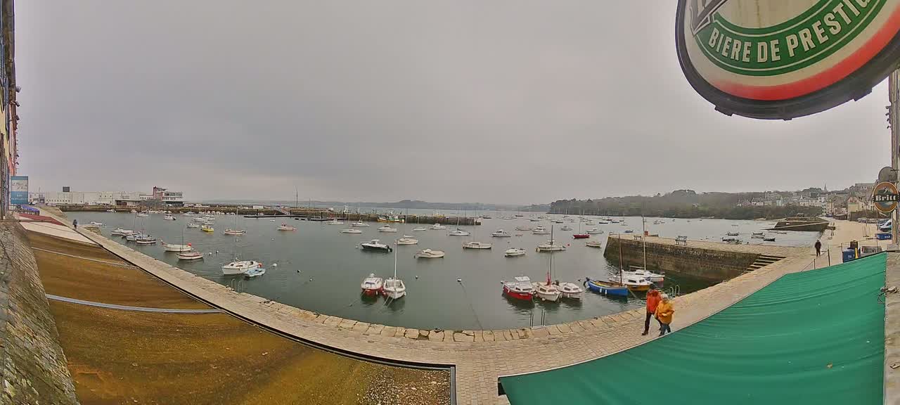 A harbor filled with numerous boats under an overcast sky.