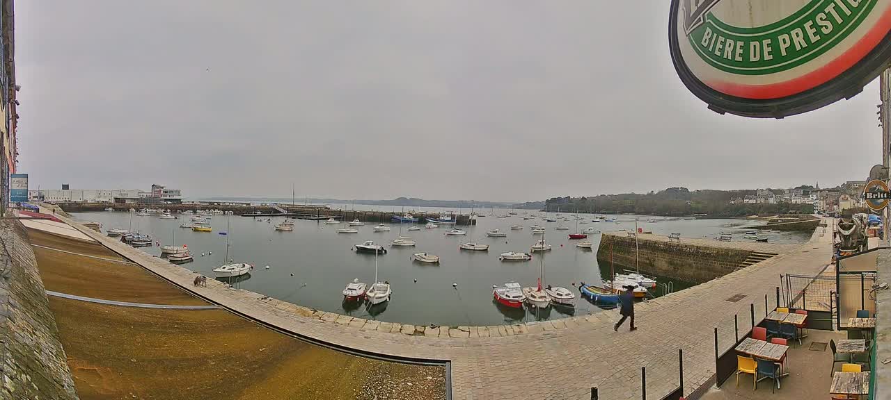 A harbor filled with numerous small boats is viewed from a paved walkway on an overcast day, with a person walking along the path toward the viewer.