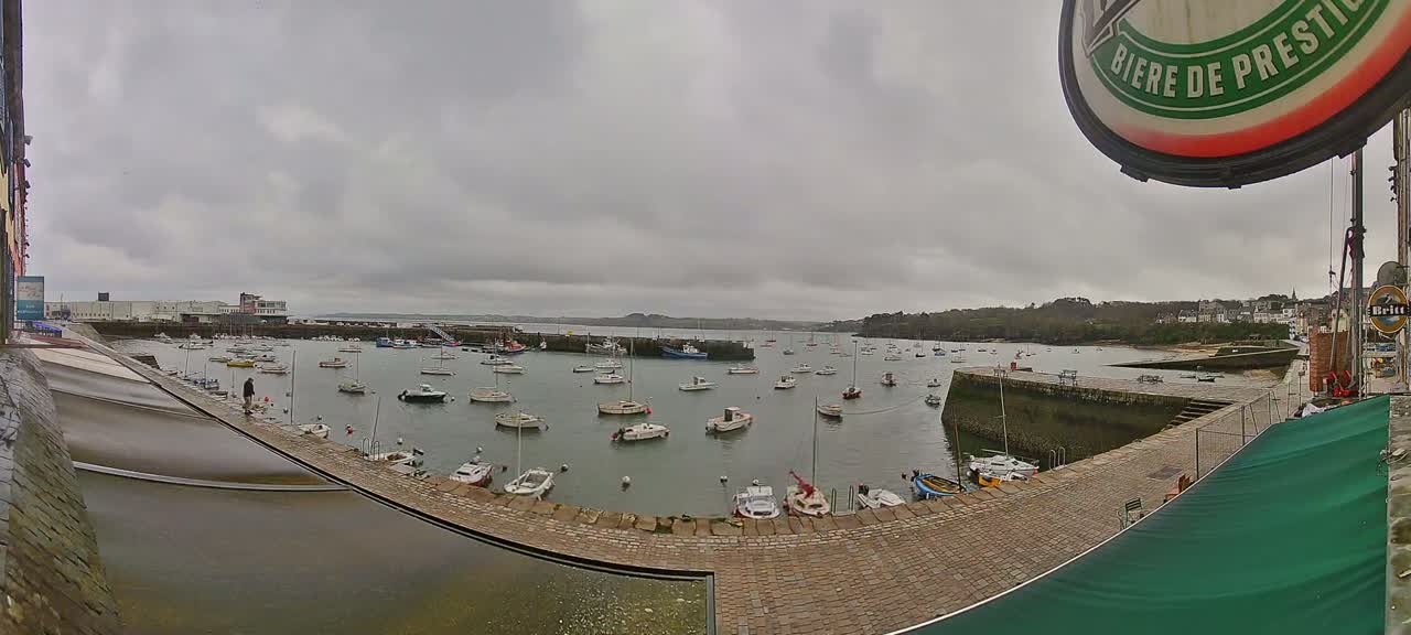 A harbor filled with numerous small boats is seen on an overcast day.