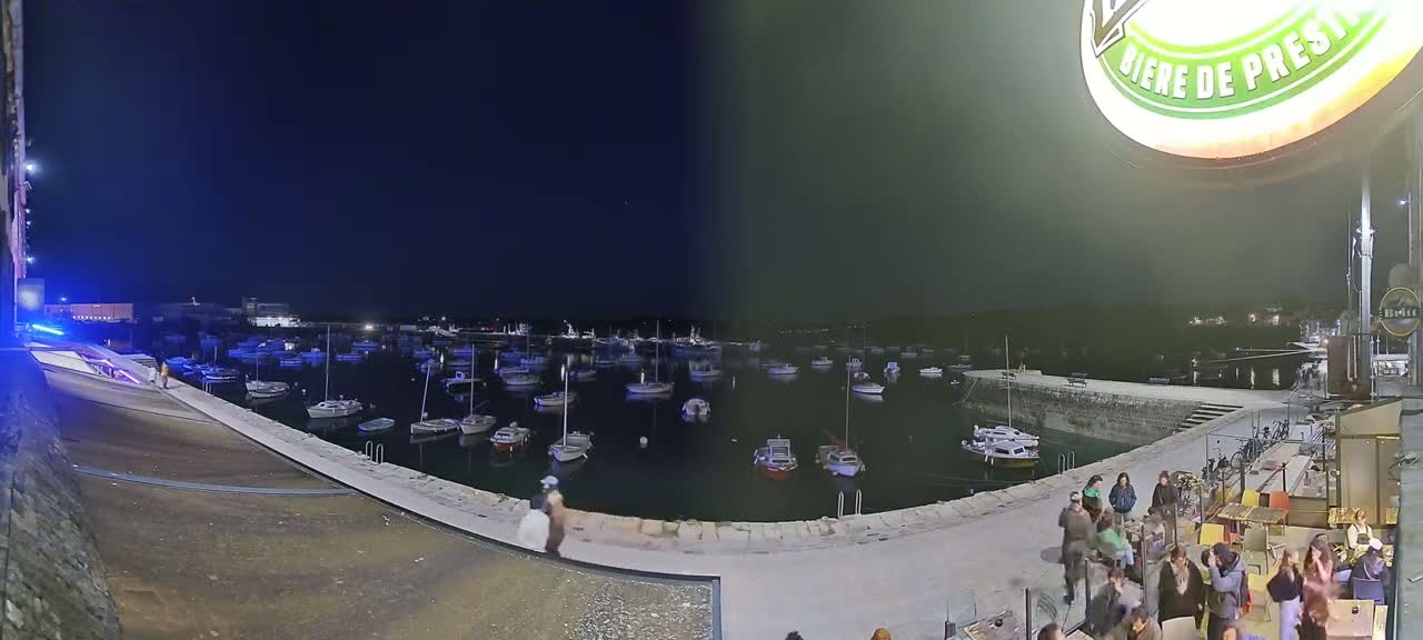 A nighttime view of a harbor filled with numerous boats, with a group of people gathered near a building on the shore under a clear, dark sky.