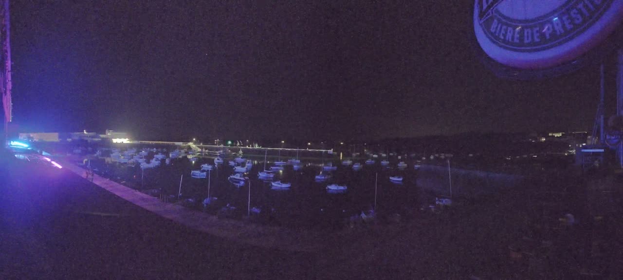 Many boats are moored in a harbor at night under a clear, dark sky.