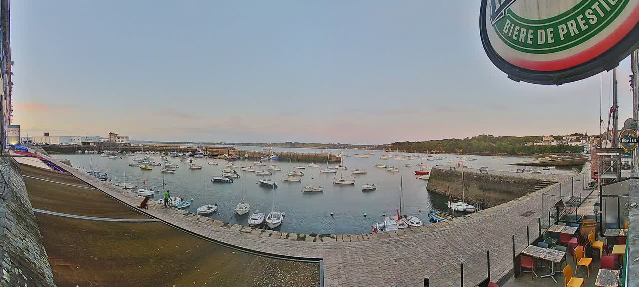 A harbor filled with numerous small boats under a pale, twilight sky.