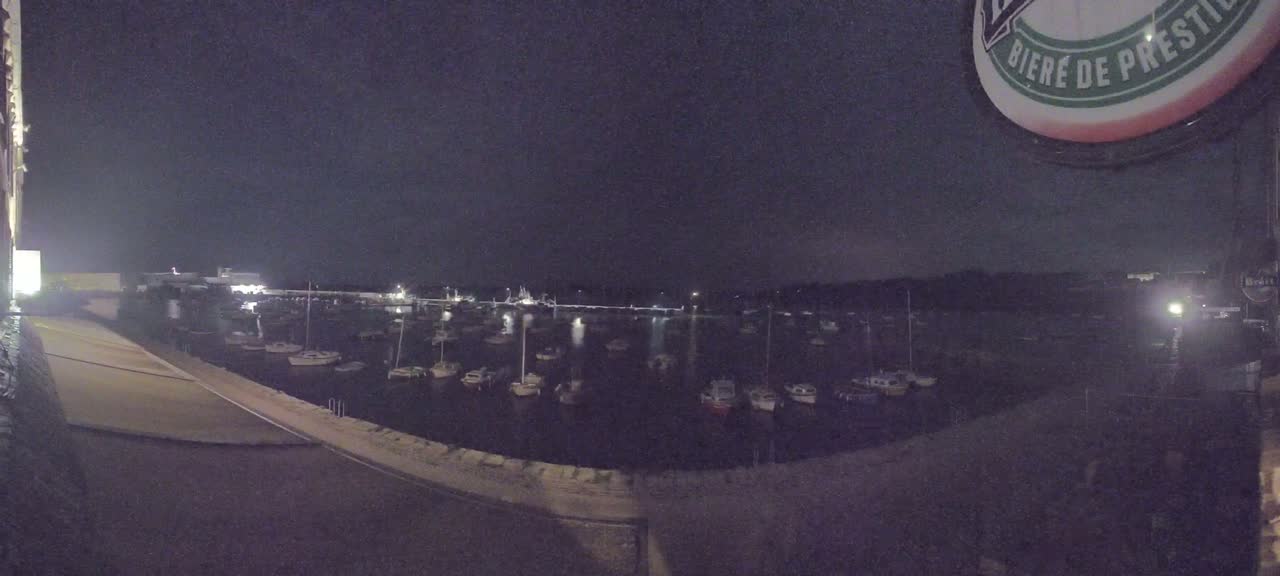 A nighttime view of a harbor filled with numerous boats under a dark, clear sky.