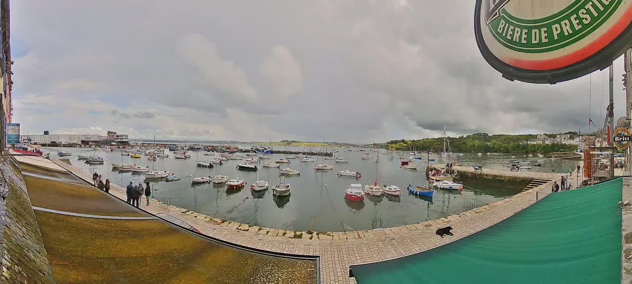 A harbor filled with numerous small boats under a cloudy sky.