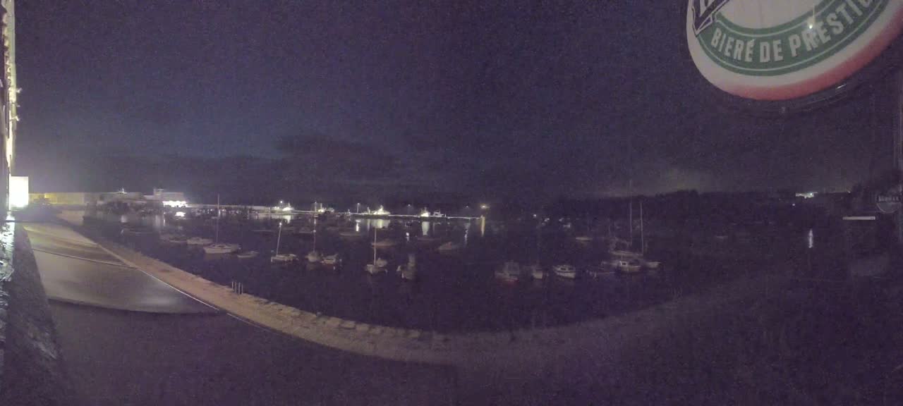 A nighttime view of a harbor filled with numerous boats under a dark, clear sky.