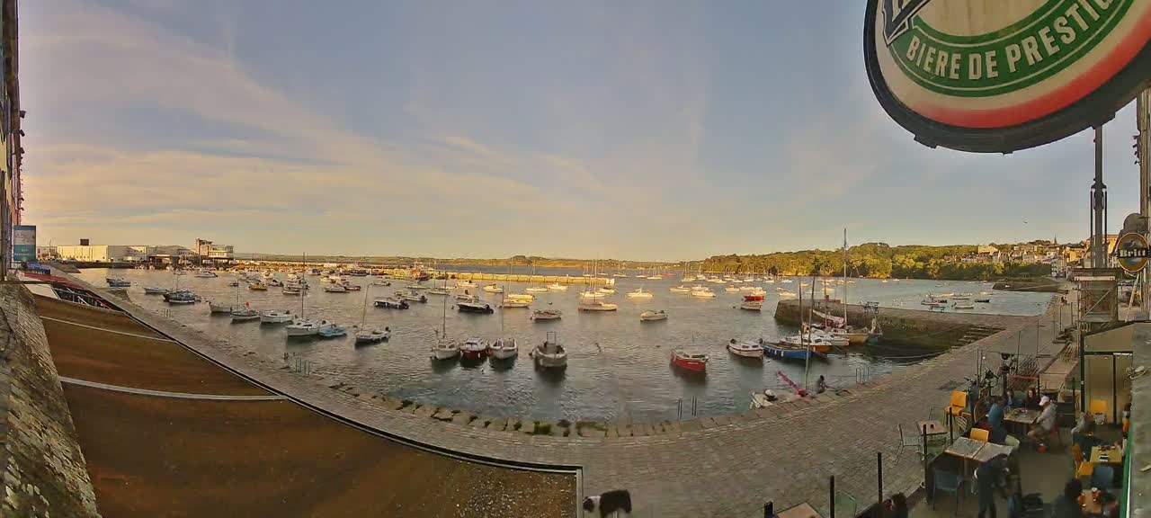 A harbor filled with numerous boats is viewed from an elevated position on a partly sunny day.
