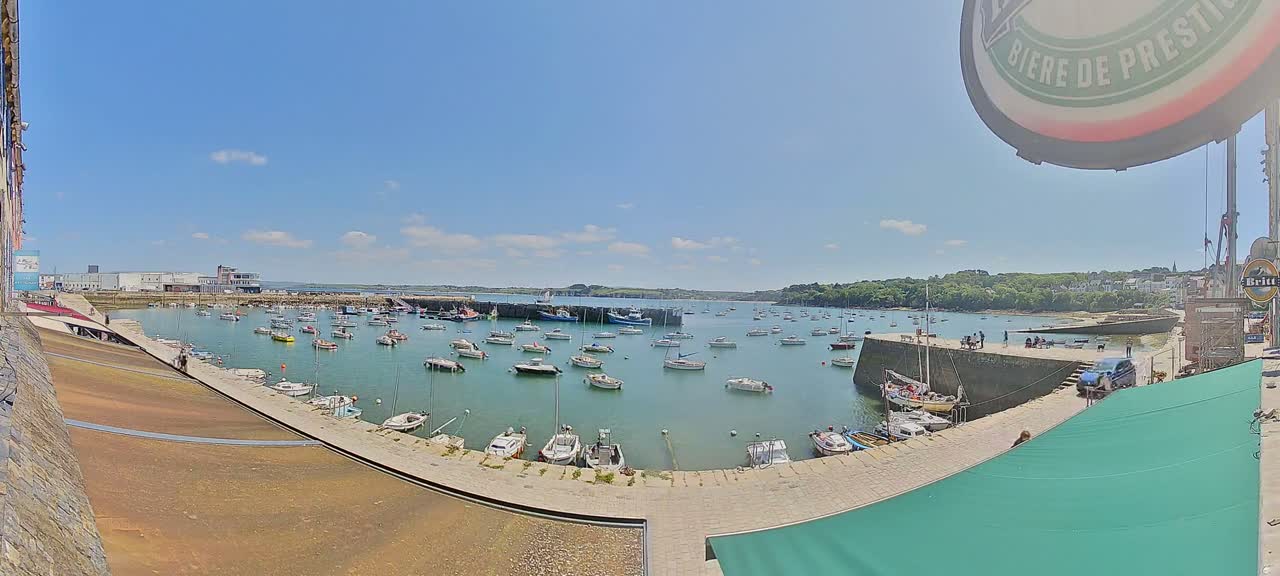 A harbor filled with numerous boats is viewed from a high vantage point on a sunny day.