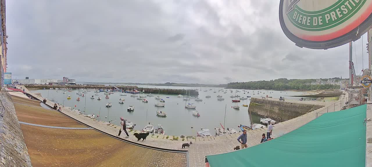 A harbor filled with numerous boats is viewed from a waterfront walkway on an overcast day, with several people and dogs strolling along the path.