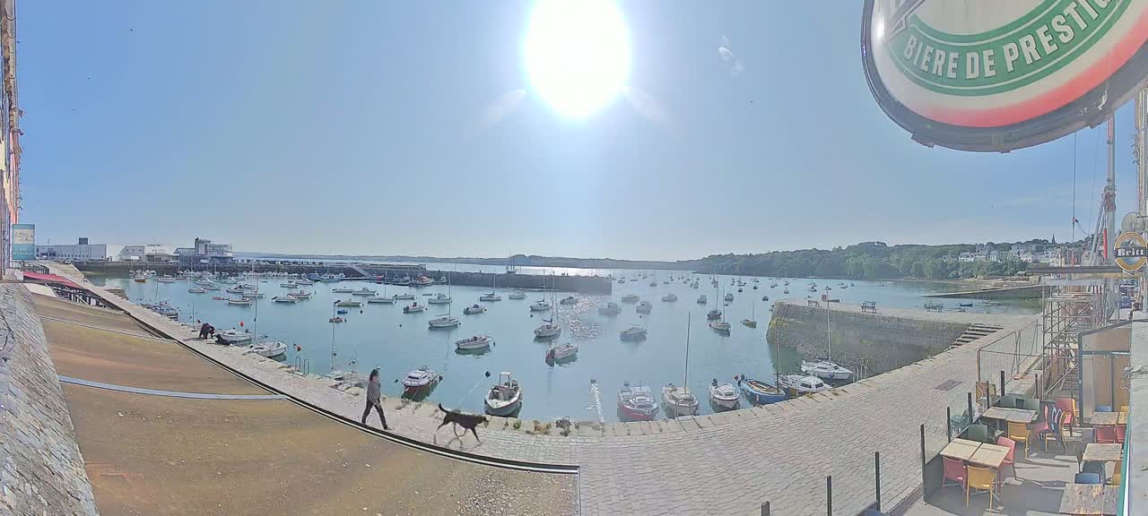 A sunny day overlooking a harbor filled with numerous boats, a person walking a dog along a stone walkway, and outdoor seating at a nearby establishment.