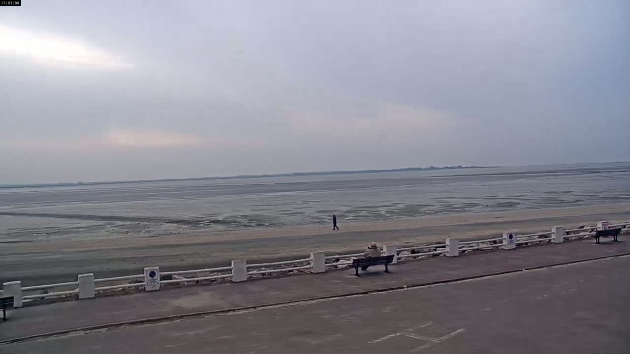 A wide, flat expanse of mudflats stretches to a calm, overcast sky, with a few people walking along a paved path beside a low white fence.