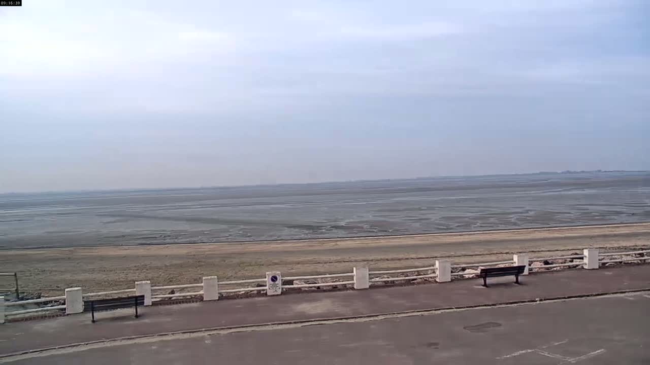 A wide expanse of exposed mudflats stretches to a calm, overcast sky, overlooked by a paved walkway with benches and a low white railing.
