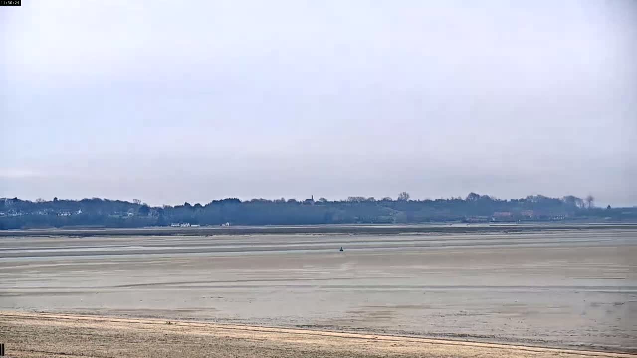 A flat expanse of light brown mudflats stretches to a distant shoreline of trees and buildings under a hazy, overcast sky.