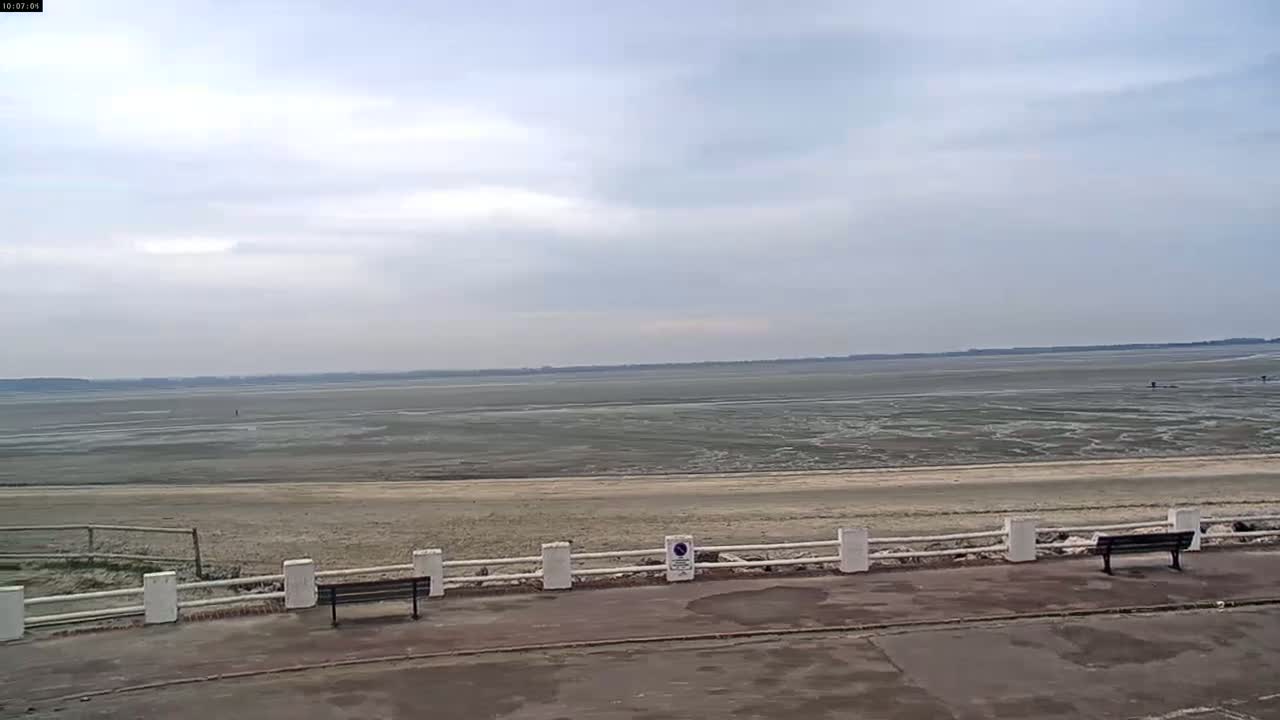 A wide, flat expanse of exposed mudflats stretches to a distant shoreline under a cloudy sky, viewed from behind a low white fence and park benches.