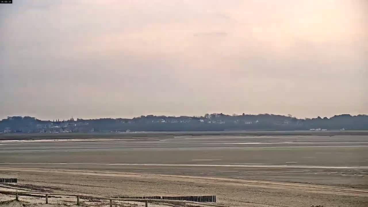 A sandy beach stretches to a large expanse of exposed mudflats, beyond which a line of trees and buildings sits under a pale, overcast sky.