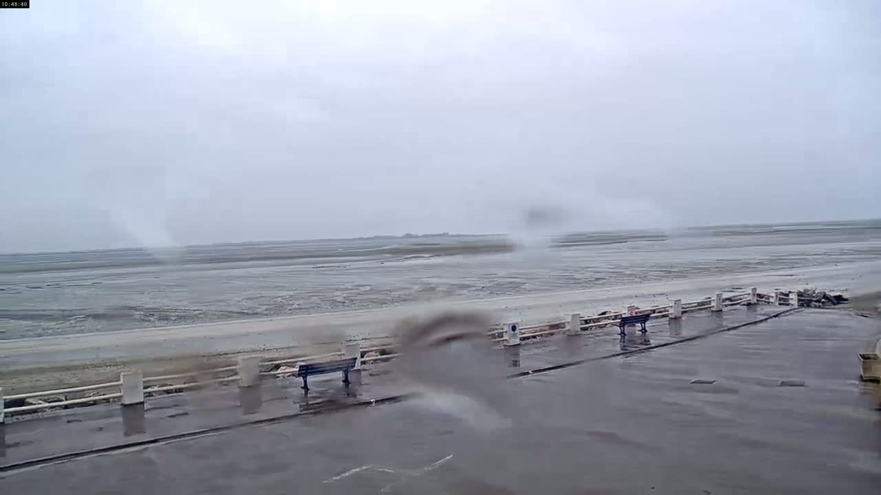 A rain-slicked waterfront promenade overlooks a wide expanse of shallow, muddy water under an overcast sky.