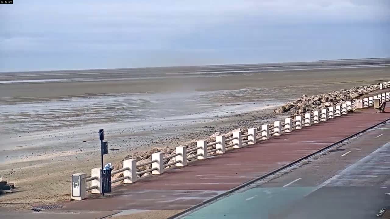 A paved walkway with a low white railing runs alongside a wide expanse of muddy, exposed tidal flats under a mostly cloudy sky.
