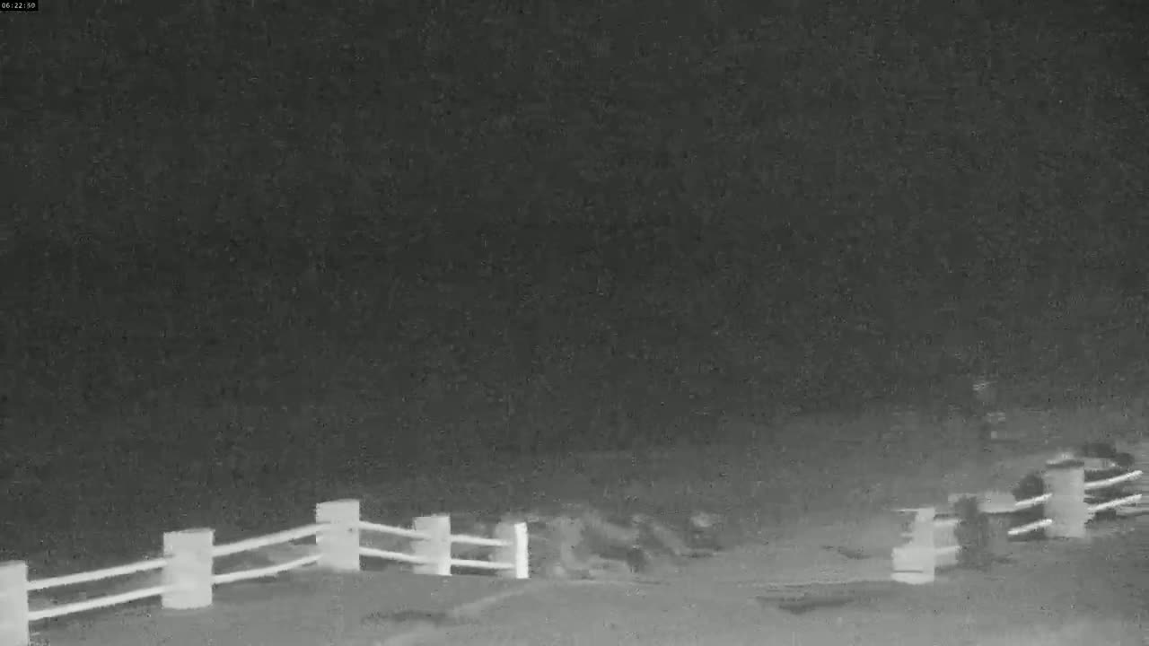 A nighttime, low-light image shows several indistinct figures near a short white fence.