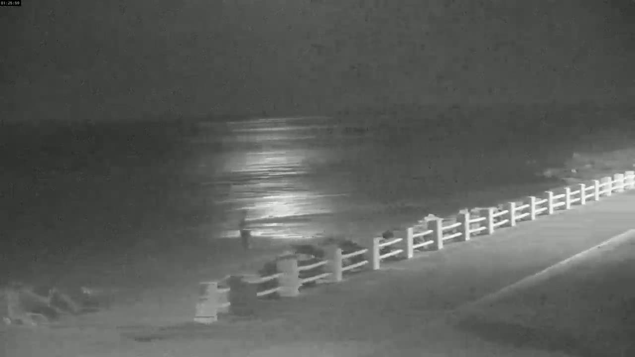 A nighttime, low-light image shows a dark ocean reflecting light, with several figures near a white fence on a sloping beach.